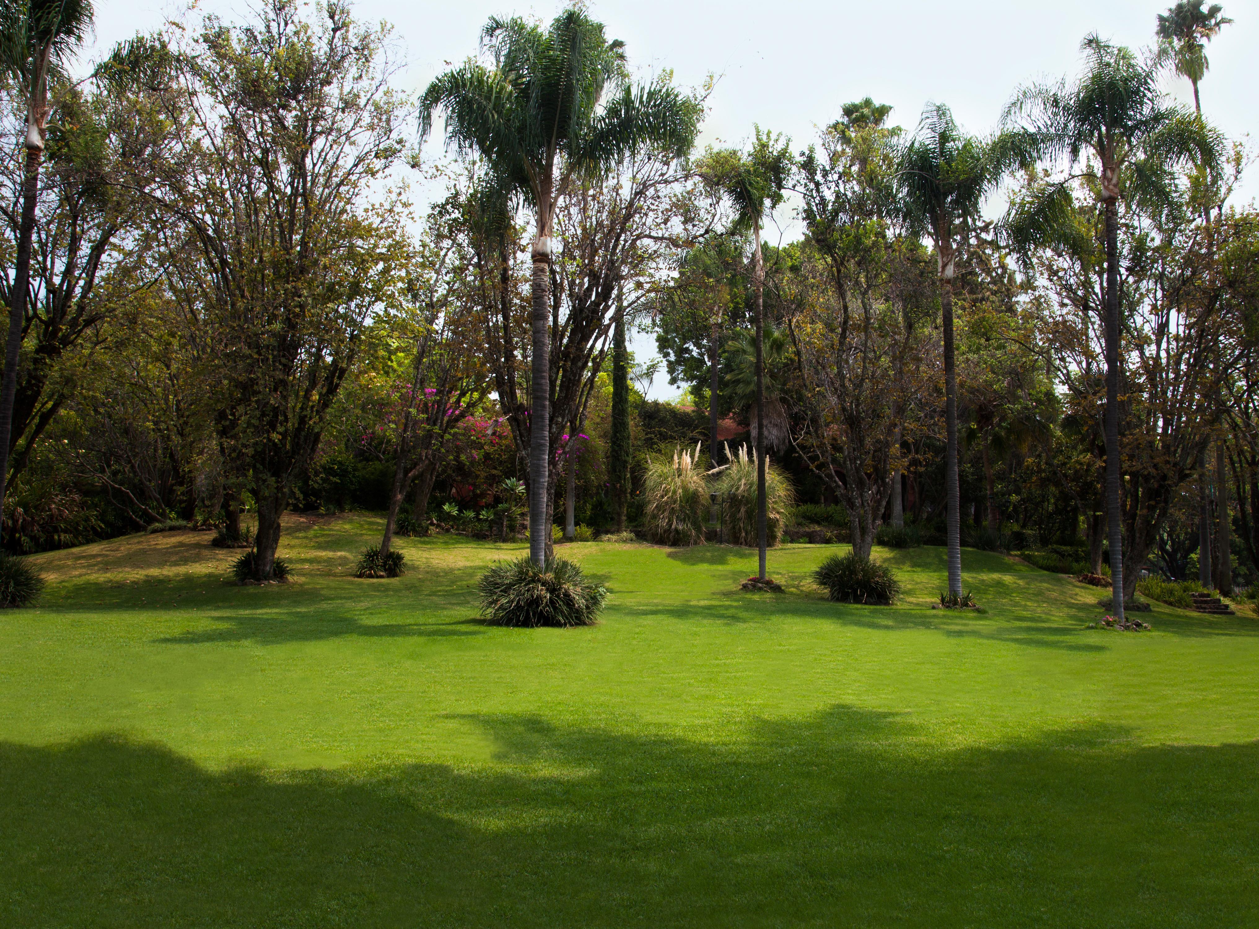 Hotel Racquet Cuernavaca Extérieur photo