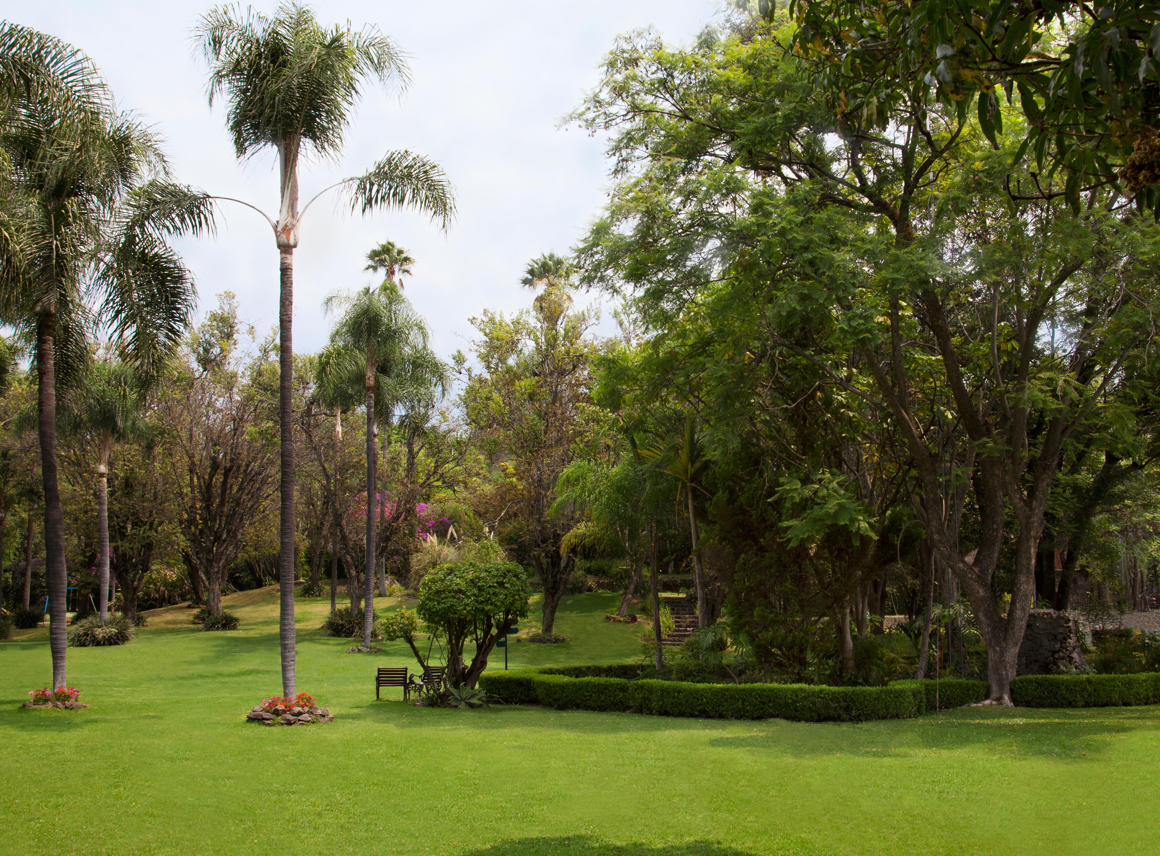 Hotel Racquet Cuernavaca Extérieur photo